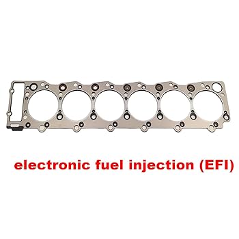 Amazon.com: BCXFORK Overhaul Rebuild Kit fits for Isuzu 6HK1